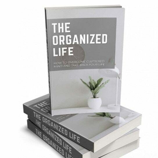 img_12600_01_482x600.jpg The Organized Life - eBook with Resell Rights