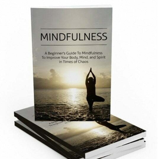img_12673_01_538x600.jpg Mindfulness - eBook with Resell Rights
