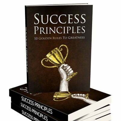 large_12402_01_374x480.jpg Success Principles - eBook with Resell Rights