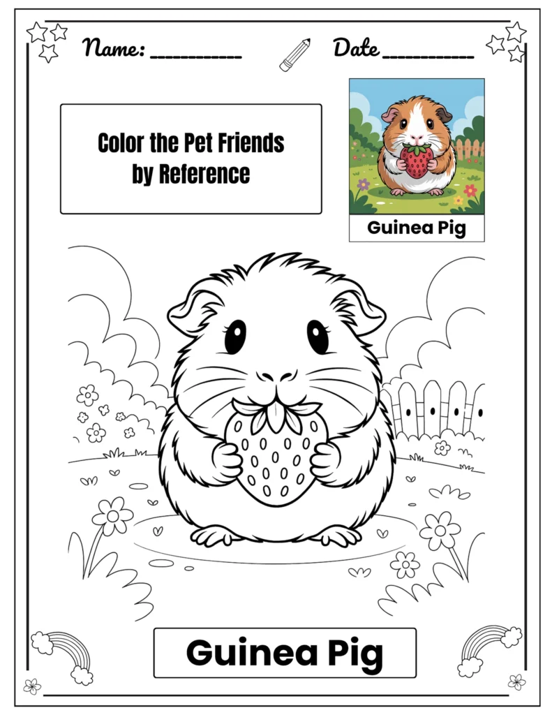 Color & Word - Activity Pack