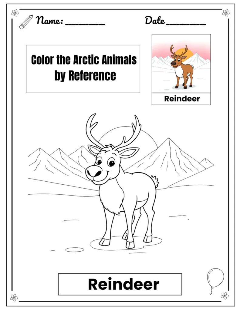 Color & Word - Activity Pack