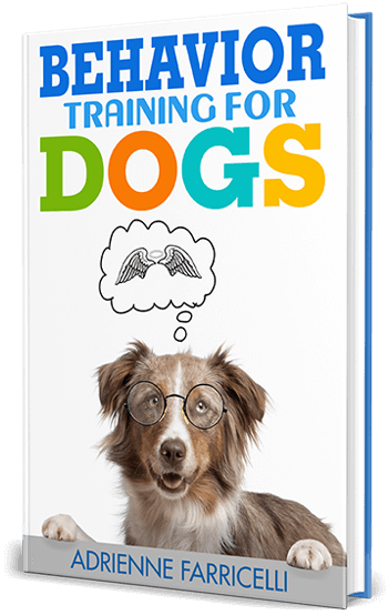 Brain Training for Dogs review