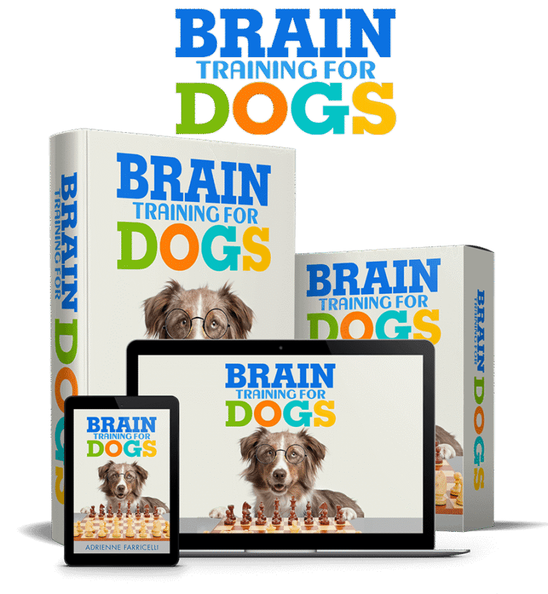 Brain Training for Dogs review