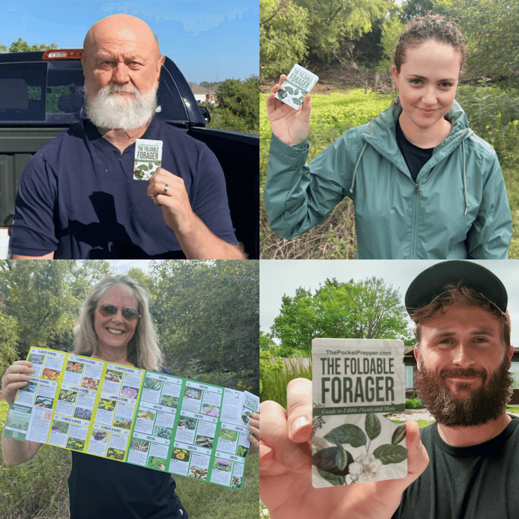 The Foldable Forager
