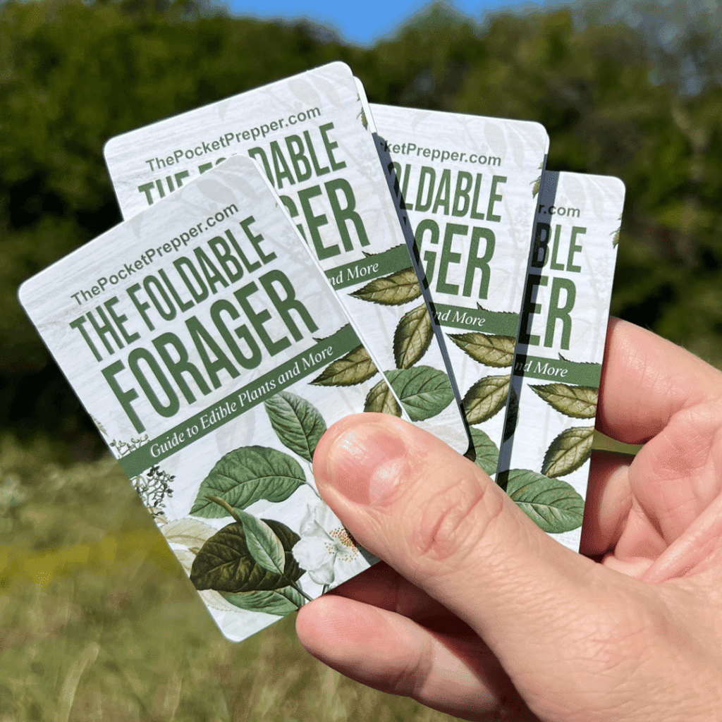 The Foldable Forager