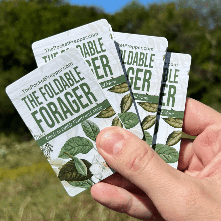 The Foldable Forager