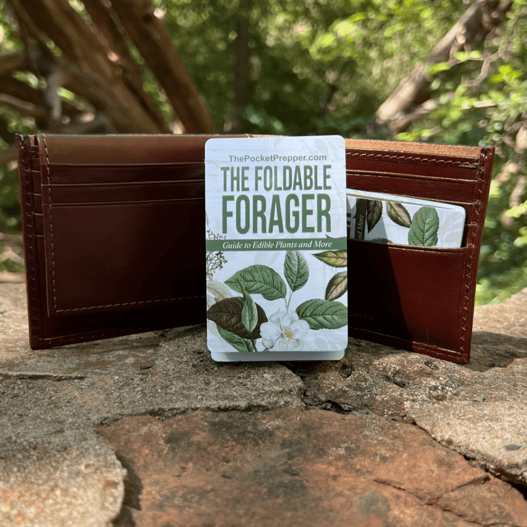 The Foldable Forager