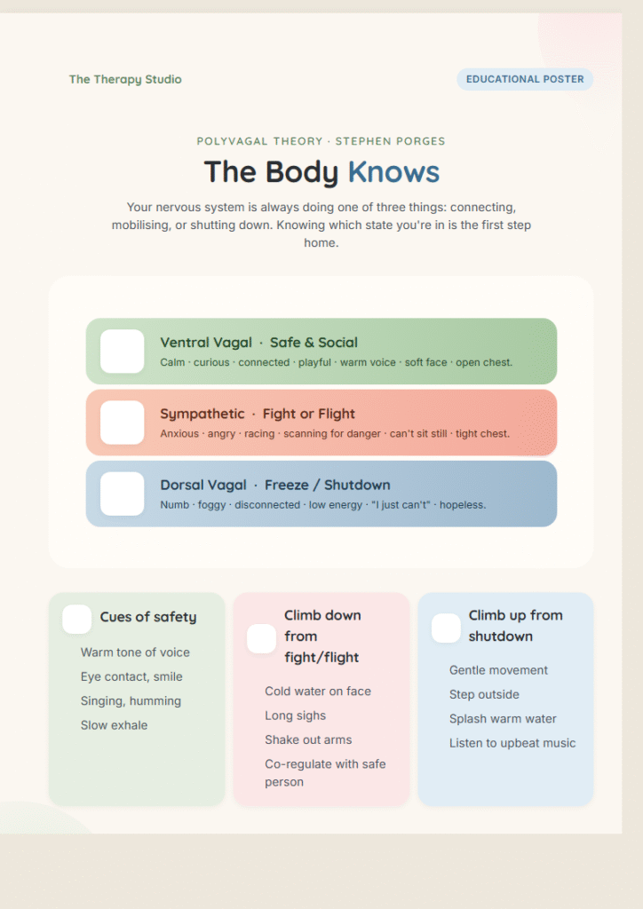 Therapy Printables PLR Kit
