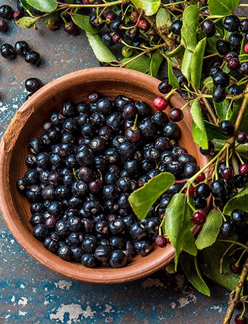 GlucoBerry