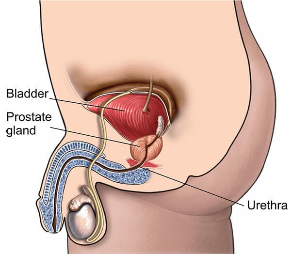 TitanFlow Prostate Support